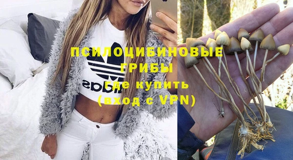 прущие грибы Баксан
