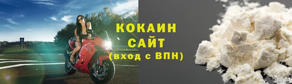прущие грибы Баксан