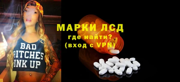 прущие грибы Баксан