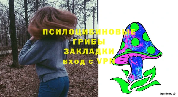 прущие грибы Баксан