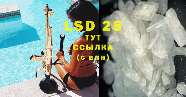 прущие грибы Баксан