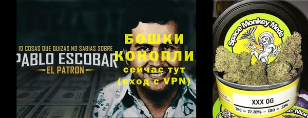 прущие грибы Баксан
