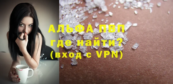 прущие грибы Баксан