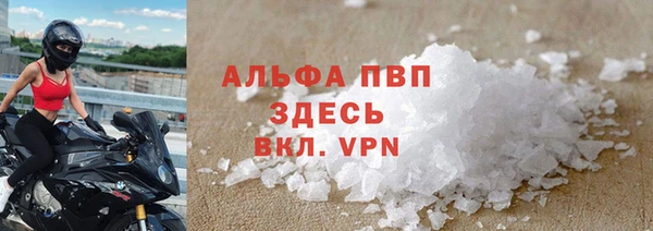 прущие грибы Баксан