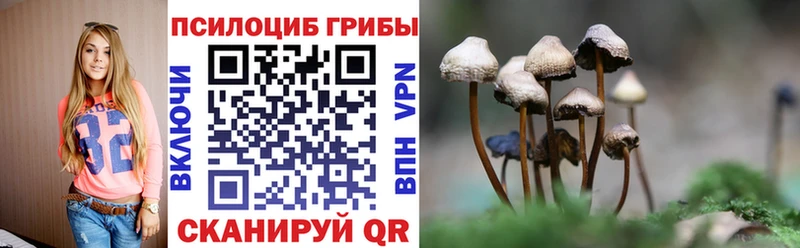 Галлюциногенные грибы Cubensis  Павловская 